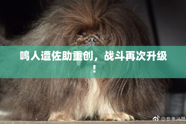 鸣人遭佐助重创，战斗再次升级！