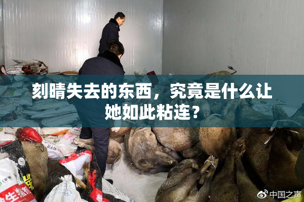 刻晴失去的东西，究竟是什么让她如此粘连？