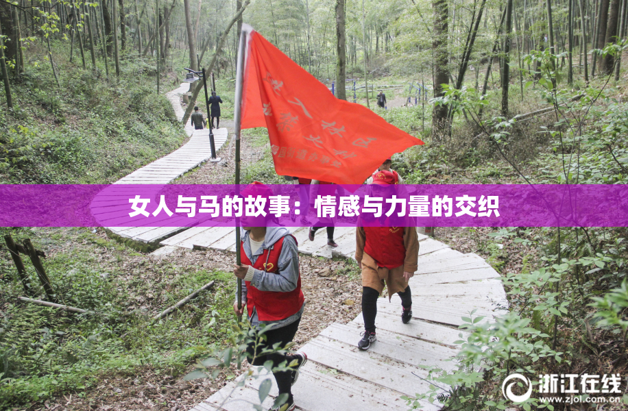 女人与马的故事：情感与力量的交织