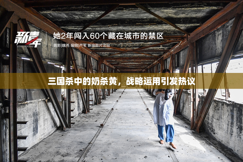 三国杀中的奶杀黄，战略运用引发热议