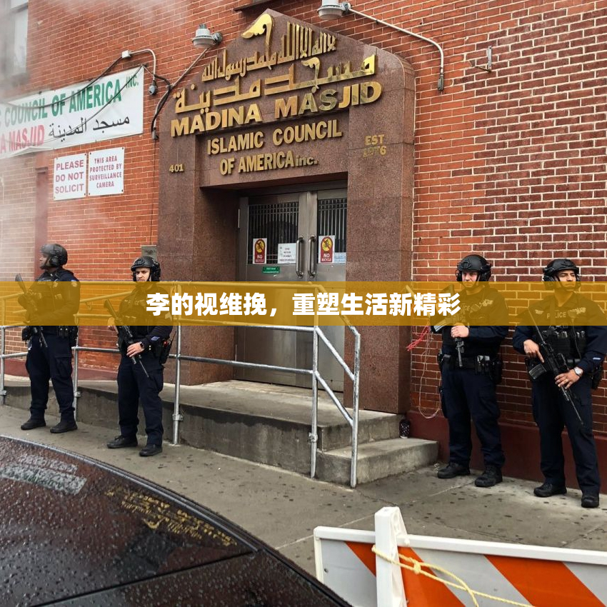 李的视维挽，重塑生活新精彩