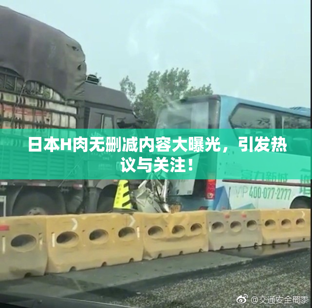 日本H肉无删减内容大曝光，引发热议与关注！