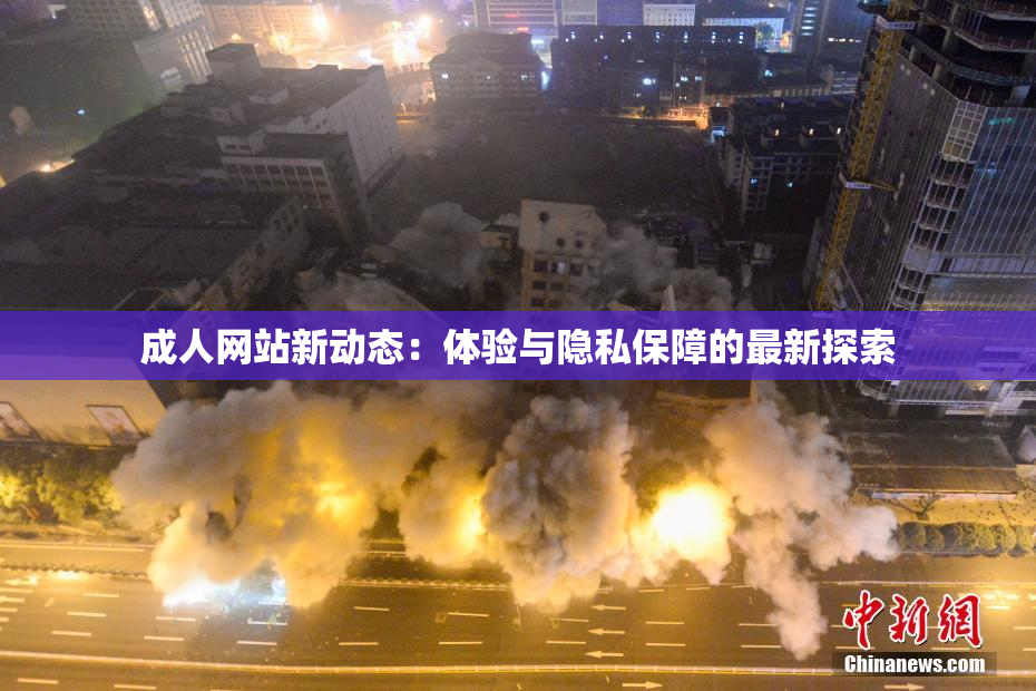 成人网站新动态：体验与隐私保障的最新探索