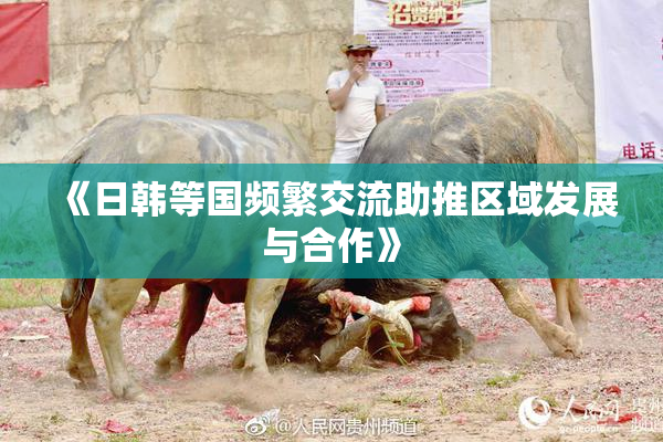 《日韩等国频繁交流助推区域发展与合作》