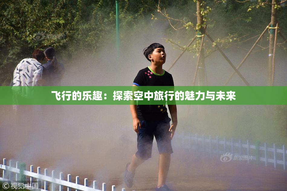 飞行的乐趣：探索空中旅行的魅力与未来