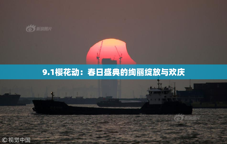 9.1樱花动：春日盛典的绚丽绽放与欢庆