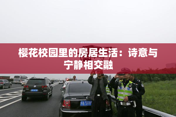 樱花校园里的房居生活：诗意与宁静相交融