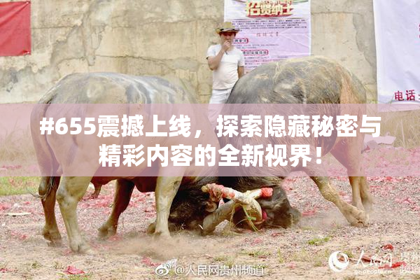 #655震撼上线，探索隐藏秘密与精彩内容的全新视界！