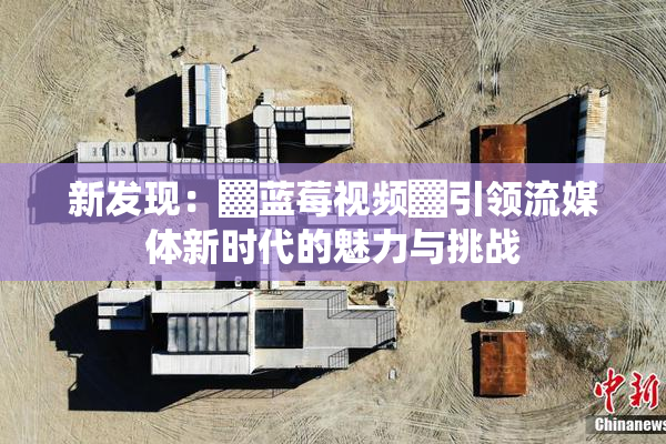 新发现：▓蓝莓视频▓引领流媒体新时代的魅力与挑战