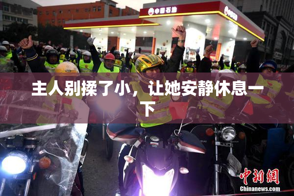 主人别揉了小，让她安静休息一下