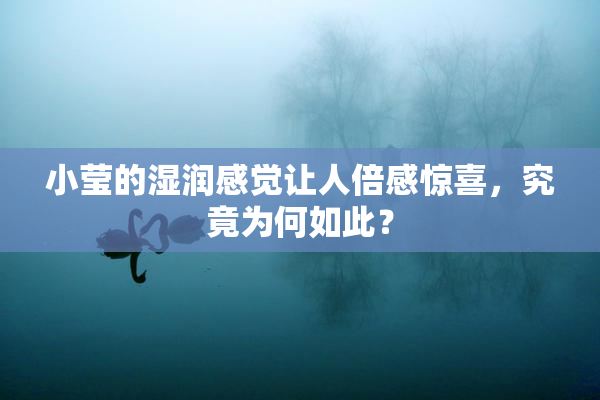 小莹的湿润感觉让人倍感惊喜，究竟为何如此？