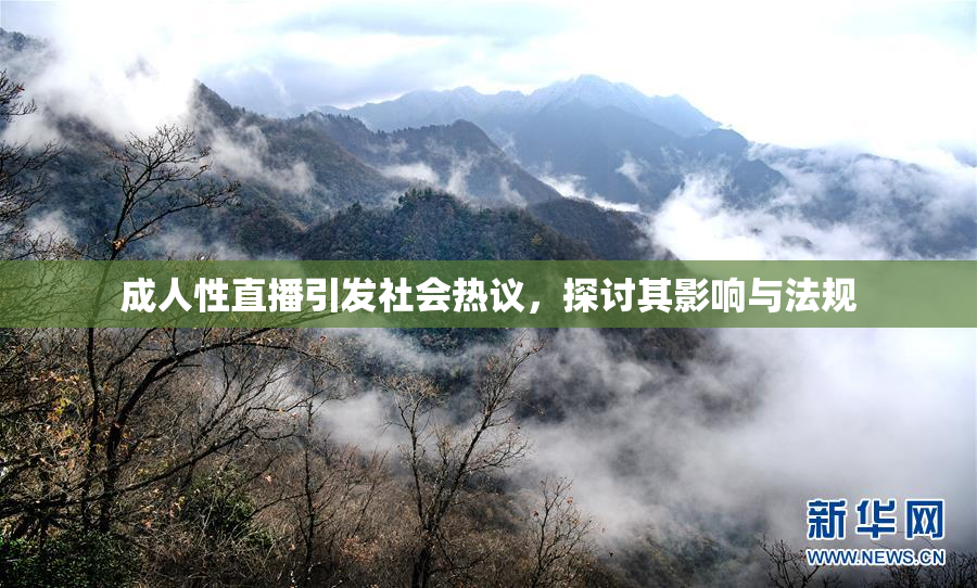 成人性直播引发社会热议，探讨其影响与法规