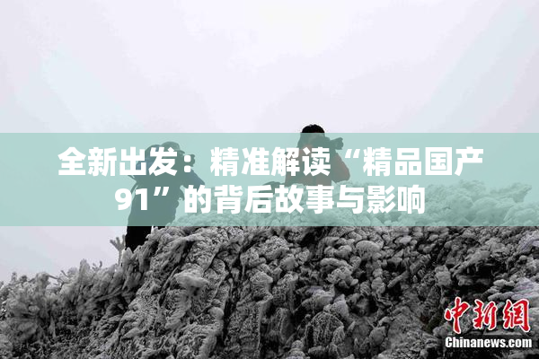 全新出发：精准解读“精品国产91”的背后故事与影响