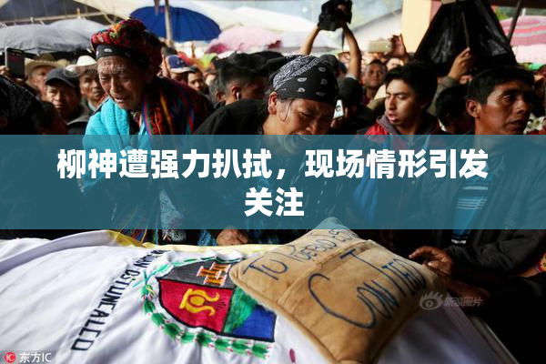 柳神遭强力扒拭，现场情形引发关注