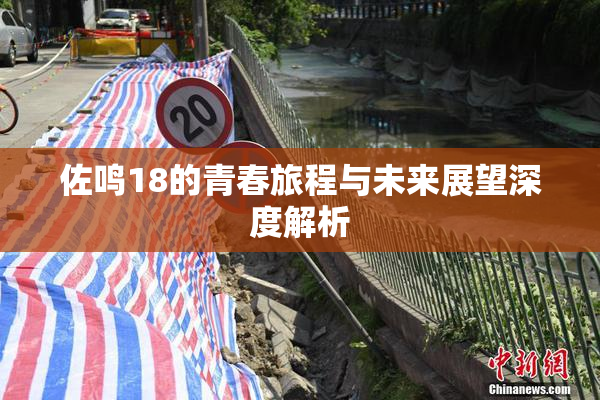 佐鸣18的青春旅程与未来展望深度解析