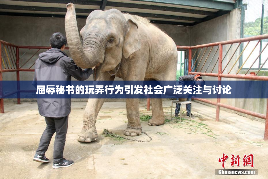 屈辱秘书的玩弄行为引发社会广泛关注与讨论