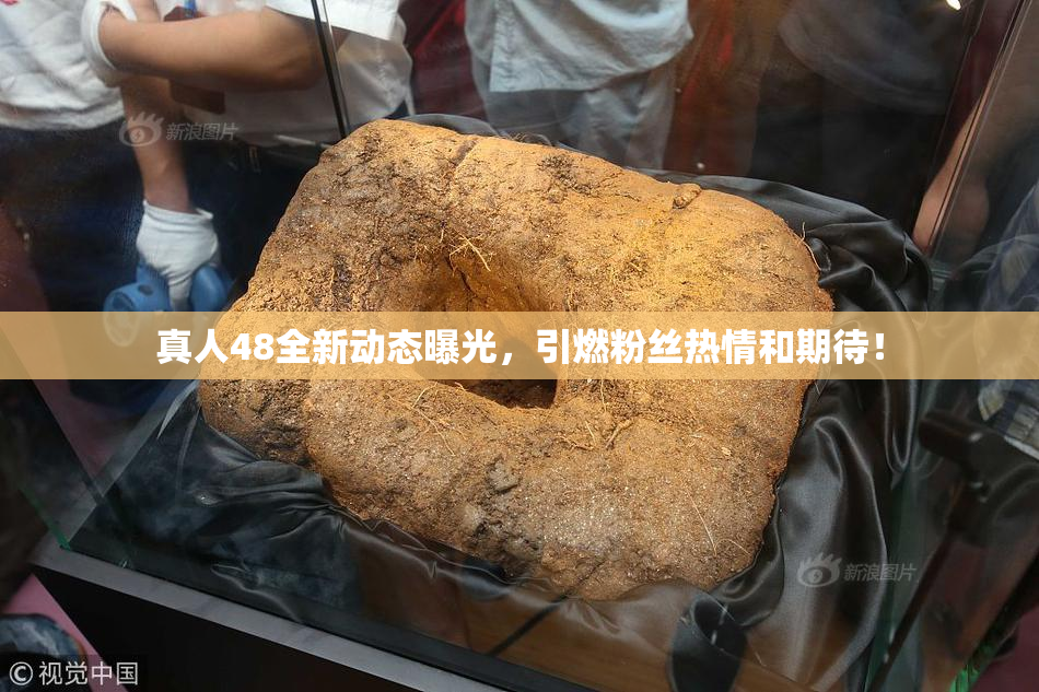 真人48全新动态曝光，引燃粉丝热情和期待！