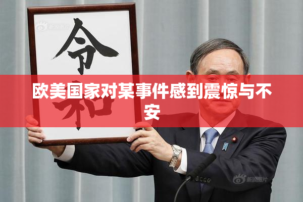 欧美国家对某事件感到震惊与不安
