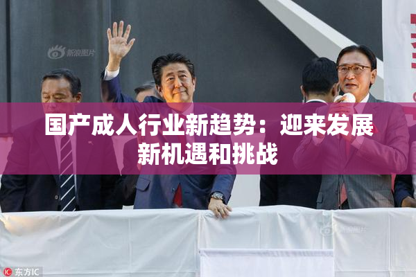 国产成人行业新趋势：迎来发展新机遇和挑战