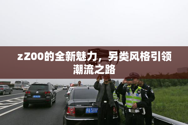 zZ00的全新魅力，另类风格引领潮流之路