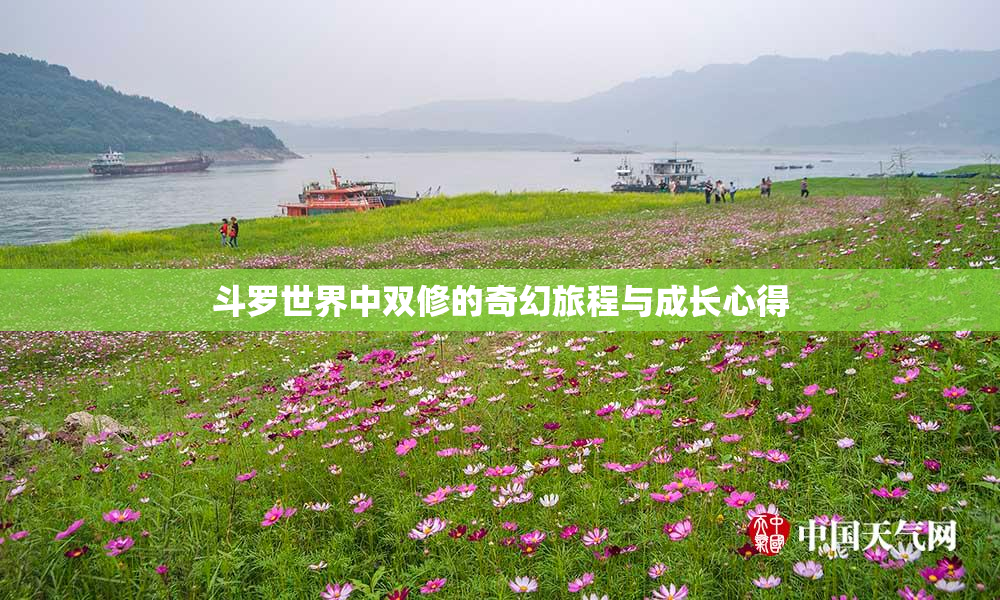 斗罗世界中双修的奇幻旅程与成长心得