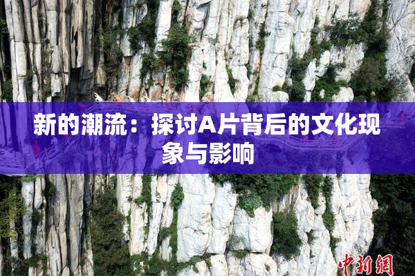 新的潮流：探讨A片背后的文化现象与影响
