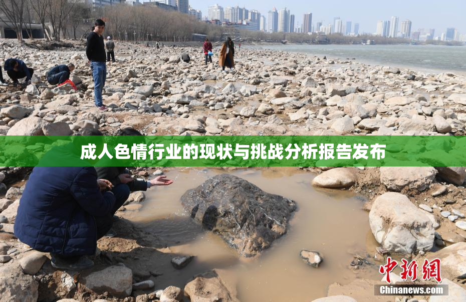 成人色情行业的现状与挑战分析报告发布