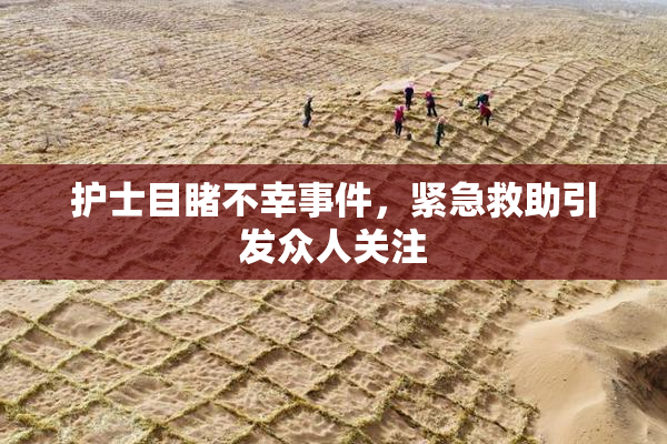 护士目睹不幸事件，紧急救助引发众人关注