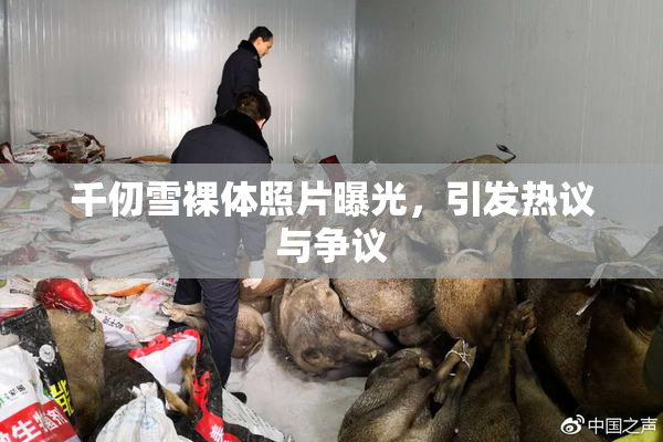 千仞雪裸体照片曝光，引发热议与争议