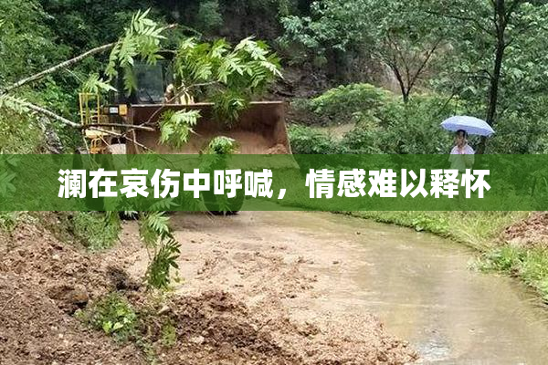澜在哀伤中呼喊，情感难以释怀