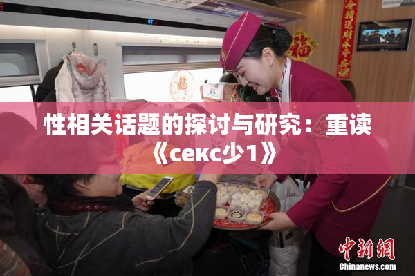 性相关话题的探讨与研究：重读《секс少1》