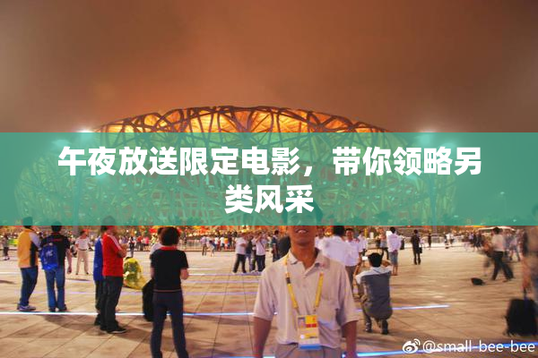午夜放送限定电影，带你领略另类风采