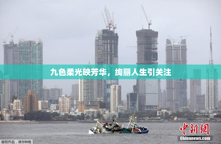 九色柔光映芳华，绚丽人生引关注