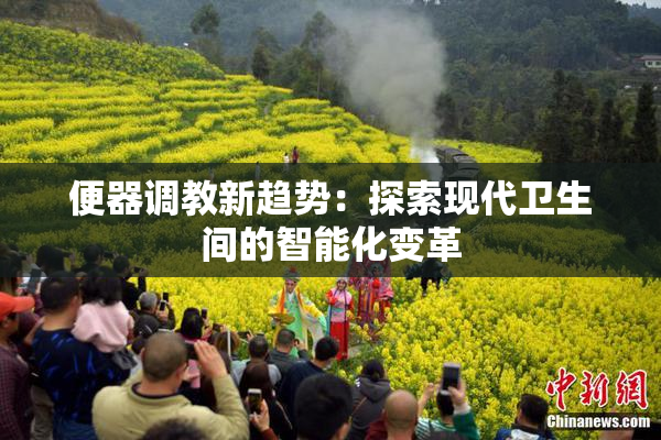 便器调教新趋势：探索现代卫生间的智能化变革