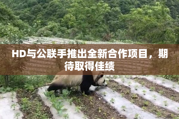 HD与公联手推出全新合作项目，期待取得佳绩