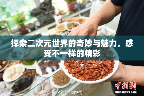 探索二次元世界的奇妙与魅力，感受不一样的精彩