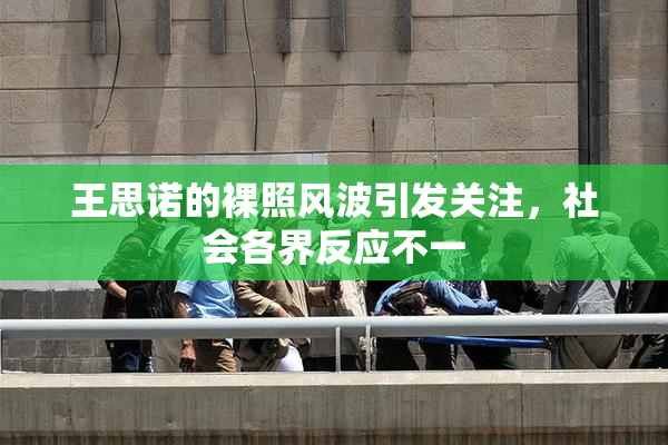 王思诺的裸照风波引发关注，社会各界反应不一