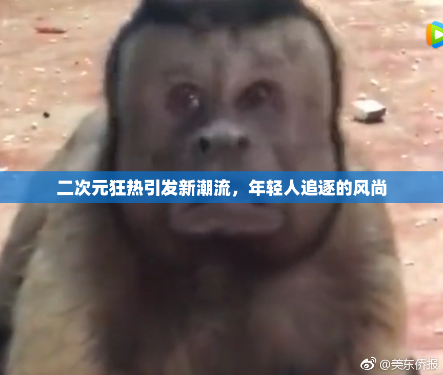 二次元狂热引发新潮流，年轻人追逐的风尚