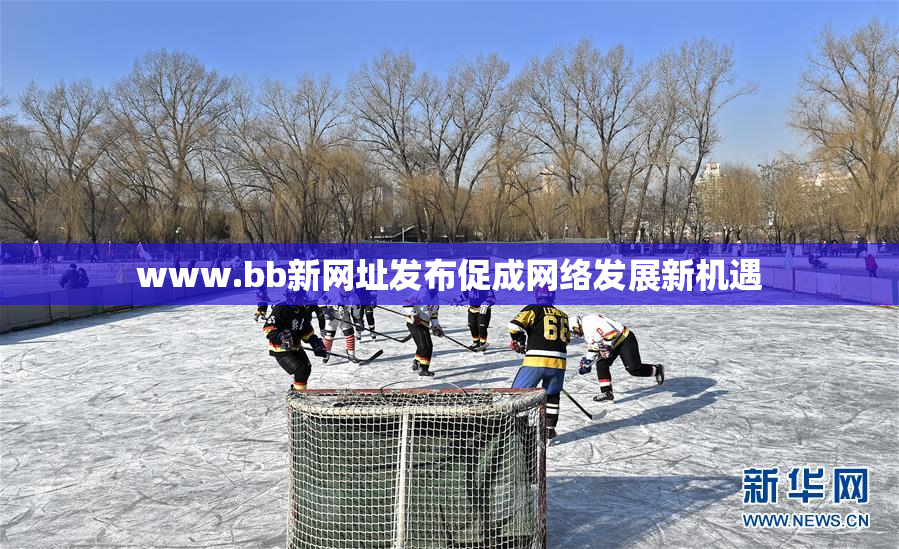 www.bb新网址发布促成网络发展新机遇