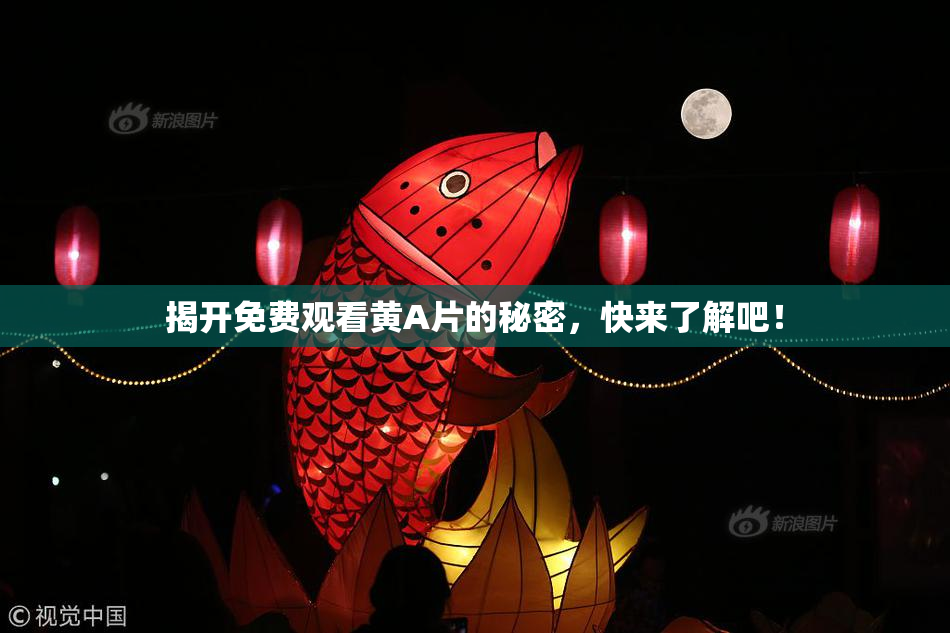 揭开免费观看黄A片的秘密，快来了解吧！