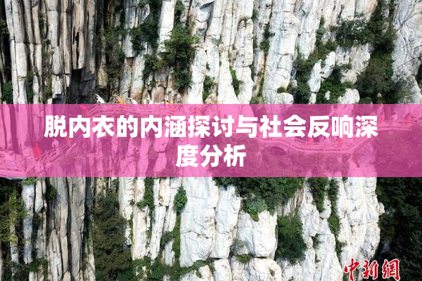 脱内衣的内涵探讨与社会反响深度分析