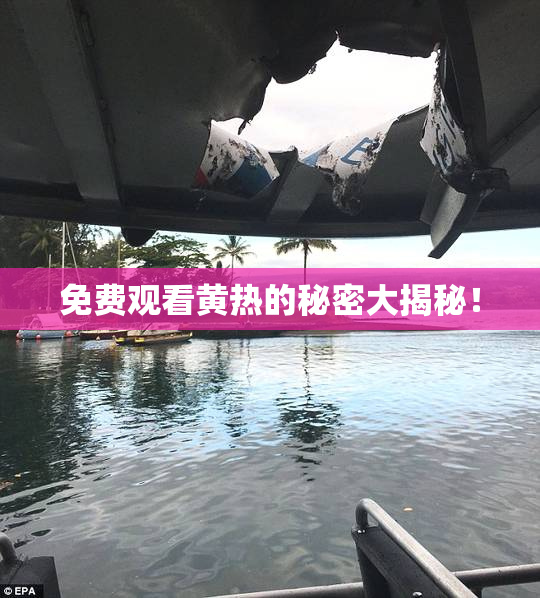 免费观看黄热的秘密大揭秘！