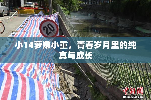 小14萝嫩小重，青春岁月里的纯真与成长