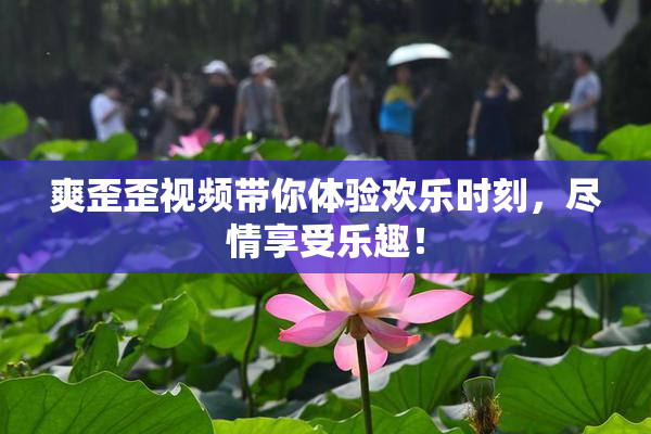 爽歪歪视频带你体验欢乐时刻，尽情享受乐趣！