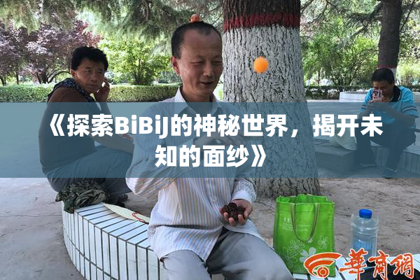 《探索BiBiJ的神秘世界，揭开未知的面纱》
