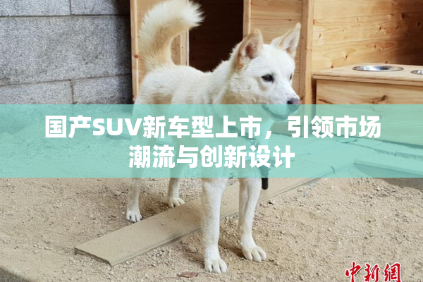 国产SUV新车型上市，引领市场潮流与创新设计
