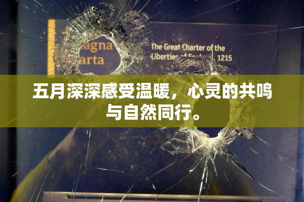 五月深深感受温暖，心灵的共鸣与自然同行。