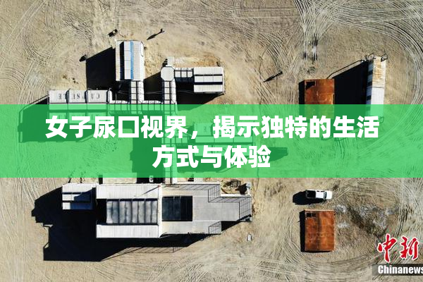 女子尿囗视界，揭示独特的生活方式与体验