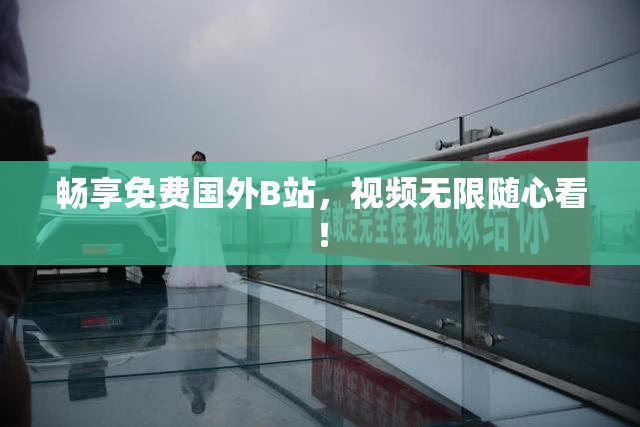 畅享免费国外B站，视频无限随心看！