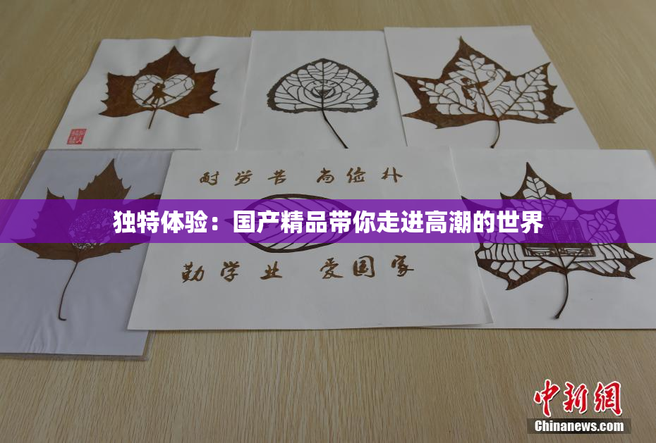 独特体验：国产精品带你走进高潮的世界